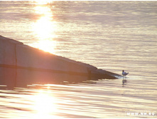 �������� �����5