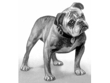 ��������������� �������.jpg