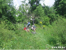 ������ ))))))))))))