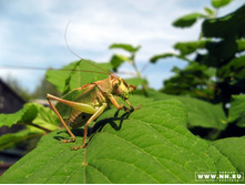 ����-2: ���� ���!