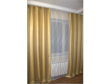 ���������-4. �� 2556 ���