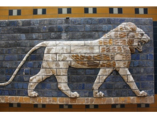 ������������ ������ �� ������� ����� � �����������.jpg