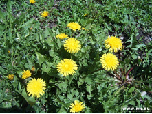 ����-�-������