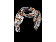 �������� (���. B11-4) 340�.+%