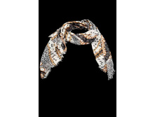 �������� (���. B11-6) 340�.+%