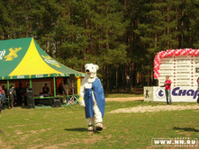 ��� �����)))