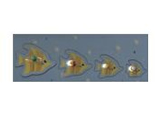 ����� (������-������).JPG