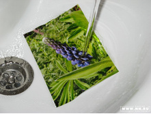 ������� �����