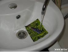 30 ������ ������?