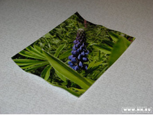 ����� ������������