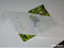 ������� �����