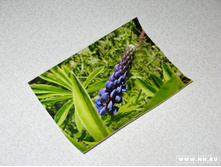 4 ������ ������