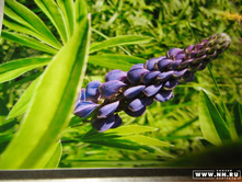 ������-2