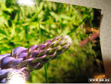 ������-3