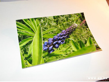 ������ 40 �����