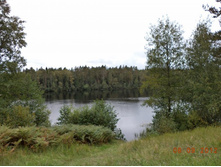 DSC00197.JPG