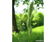 � ��� �430