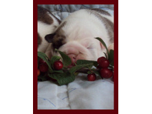 2010-06-20 22-44-23 - 0091.JPG