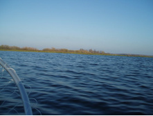 PA220025.JPG