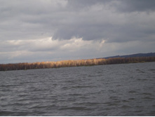 PA220037.JPG