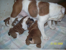 ������� 607.jpg