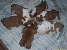 ������� 608.jpg