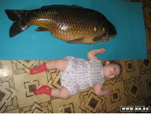 ��������� � ���� (10���)