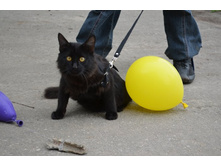 ��������� ��� 2 (27).JPG