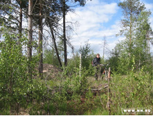 ������, ������������ ���