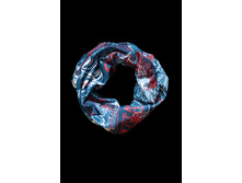 �����-������� (���. X01-8).jpg