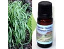 ���������� 195+%