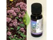  ������ (�������) 520+%