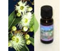 �������� 195+%