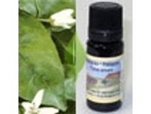 ���������� 236+%