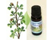 ����� 1216+%