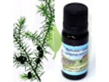 ������������ 543+%