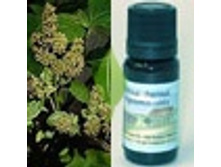 ������ 455+%