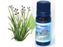 ���������� 331+%