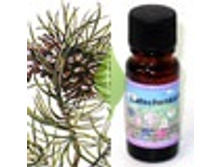 ����� 313+%