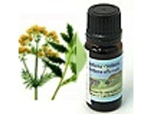 ��������� 1623+%