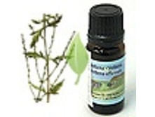 ������� 1 �� 844+%