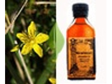 �������� 731,6+%