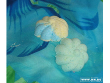 ��������� �������