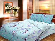 ��������- �����