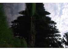 28.06.2010 10:49:47