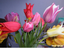 �������� �� ����