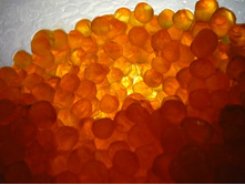 �� ���� - ��� � �������� ����� �������