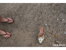 ��� �����? (�)