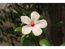 �������� �����.jpg