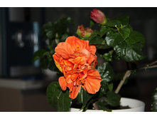 �������� ���������.jpg